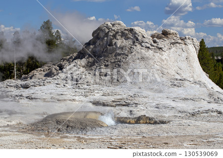Castle Geyser in Yellowstone National Park. Castle Geyser in Yellowstone National Park. 130539069