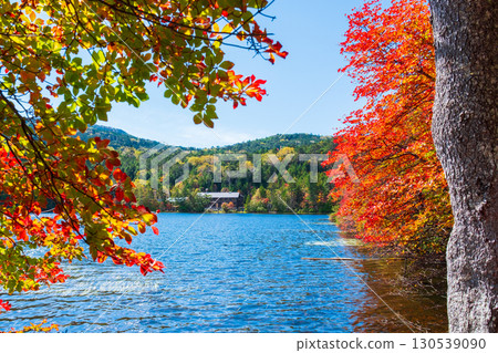 秋天的白駒池 130539090