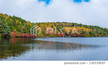 秋天的白駒池 130539097