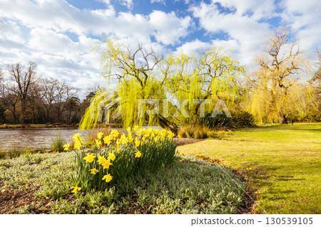 Castlemaine Botanical Gardens in Castlemaine Australia 130539105