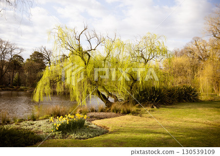 Castlemaine Botanical Gardens in Castlemaine Australia Castlemaine Botanical Gardens in Castlemaine Australia 130539109