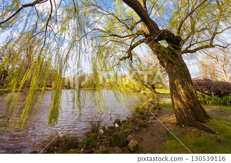 Castlemaine Botanical Gardens in Castlemaine Australia 130539116