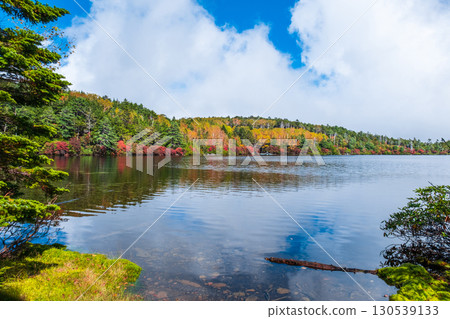 Shirakoma pond in autumn 130539133