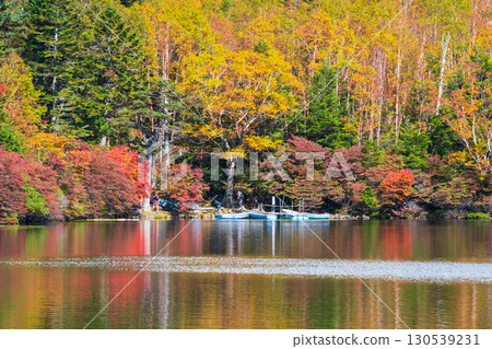 秋天的白駒池 秋天的白駒池 130539231