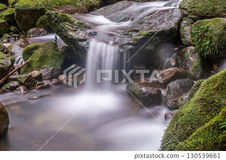 溪流壯觀的山谷 屋久島國立公園(冬季) 溪流壯觀的山谷 屋久島國立公園(冬季) 130539661