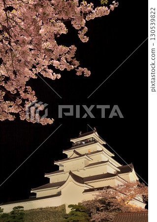 敦賀城堡和櫻桃樹 敦賀城堡和櫻桃樹 130539822