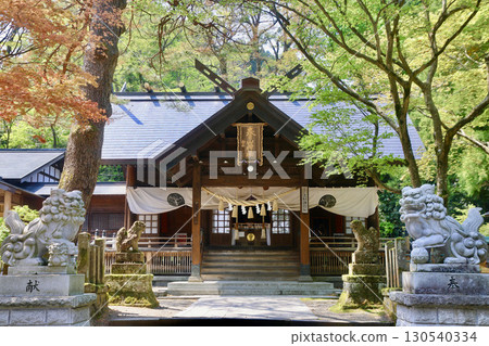 春日山神社(新潟縣上越市) 春日山神社(新潟縣上越市) 130540334