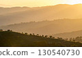 Golden Lit Mountain Range with Hilly Terrain and Sparse Trees at Sunset 130540730