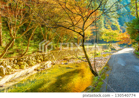Yaotsu Town, Gifu Prefecture: A river and autumn leaves along the road to Goho Falls, where legendary swordsman Miyamoto Musashi is said to have trained in autumn. Yaotsu Town, Gifu Prefecture: A river and autumn leaves along the road to Goho Falls, where legendary swordsman Miyamoto Musashi is said to have trained in autumn. 130540774
