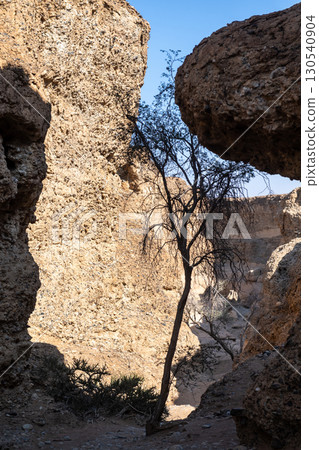 Sesriem canyon in Namibia 130540904