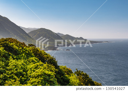 Spring scenery of the Yakushima World Natural Heritage Site, the western forest road area where new recordings shine Spring scenery of the Yakushima World Natural Heritage Site, the western forest road area where new recordings shine 130541027