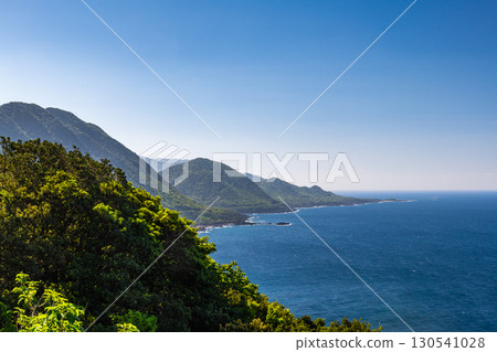 Spring scenery of the Yakushima World Natural Heritage Site, the western forest road area where new recordings shine Spring scenery of the Yakushima World Natural Heritage Site, the western forest road area where new recordings shine 130541028