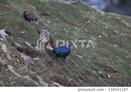 很生鏽 很生鏽 130541197