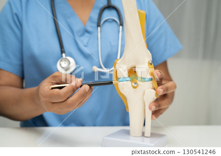 Asian doctor holding spinal nerve and bone model, Lumbar spine displaced herniated disc fragment for treatment medical in the orthopedic department. Asian doctor holding spinal nerve and bone model, Lumbar spine displaced herniated disc fragment for treatment medical in the orthopedic department. 130541246