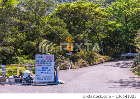 Spring scenery of Yakushima World Natural Heritage site, green corridor and road signs 130541325