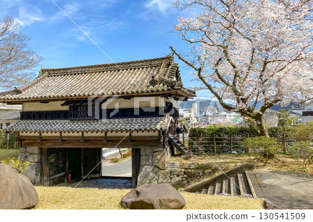 Saiki Castle Sannomaru Yaguramon Gate and cherry blossoms in full bloom Saiki Castle Sannomaru Yaguramon Gate and cherry blossoms in full bloom 130541509