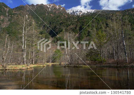 上高地天氣晴朗,田代沼澤中可見白雪皚皚的穗高連山山脈 上高地天氣晴朗,田代沼澤中可見白雪皚皚的穗高連山山脈 130541780