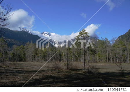 上高地天氣晴朗,田代沼澤中可見白雪皚皚的穗高連山山脈 上高地天氣晴朗,田代沼澤中可見白雪皚皚的穗高連山山脈 130541781