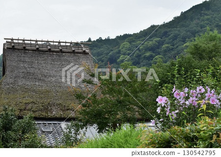 初夏的嵯峨野 130542795
