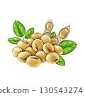 Soybean pile with green soya leaves, pods isolated on white background. Hand drawn realistic watercolor illustration. Close up legume dry soya bean group natural organic vegan source of protein 130543274