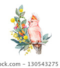 Pink cockatoo bird with floral decor hand drawn watercolor vintage style illustration. Australian parrot endemic wildlife bird with Australia wildflowers native flora decoration on white background 130543275