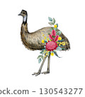 Emu with floral decor hand drawn watercolor vintage style illustration. Australian endemic wildlife emu flightless bird with Australia wildflowers native flora decoration on white background 130543277