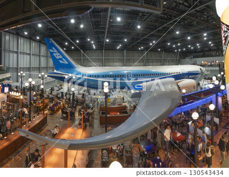 新特麗亞飛機 130543434