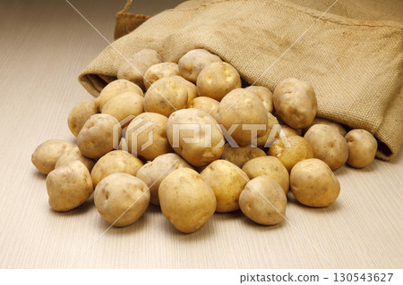 New potatoes rolling out of a burlap sack New potatoes rolling out of a burlap sack 130543627