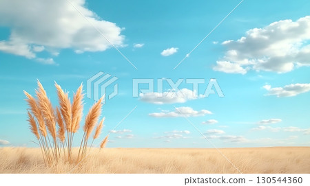 Golden Grass and Blue Sky with Clouds Scenic Landscape in Natural Outdoor Setting 130544360