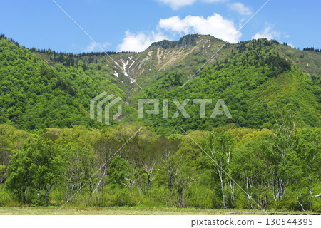 從群馬縣片品村尾瀨之原的Yoppi橋附近眺望的紀鶴山 130544395