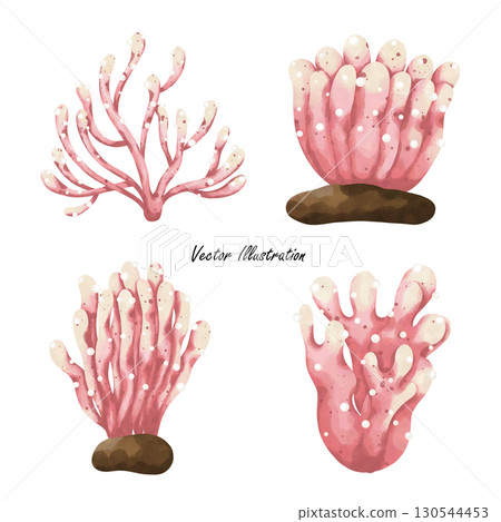 sea animals isolated on white background sea animals isolated on white background 130544453