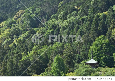Horinji temple distant view Horinji temple distant view 130544464