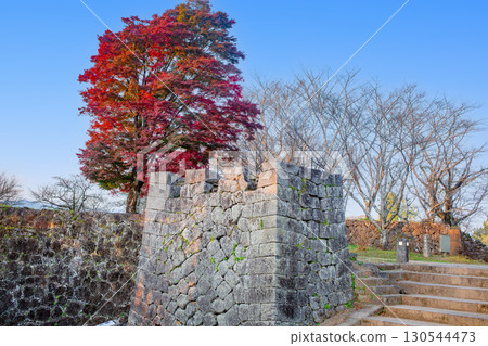 Autumn leaves at the Oka Castle ruins lit up by the setting sun 130544473