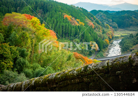 Stone walls and autumn leaves at the ruins of Oka Castle 130544684