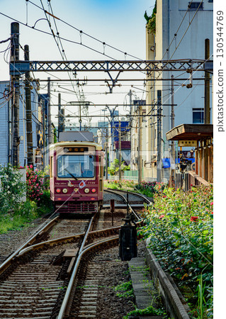 Roses and trains (Toden Arakawa Line Minowabashi Station) 130544769