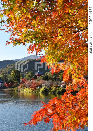 Fall of Daimyoji 130544834