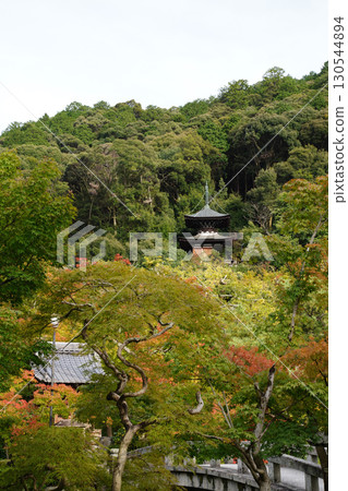 京都寺廟花園裡的楓葉開始變色 130544894
