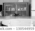 A cat standing in a room with a simple interior 130544959