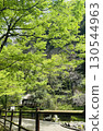 Scenery surrounded by fresh greenery 130544963