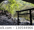 A moss-covered swamp that shines in the fresh greenery 130544966
