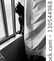 Cat on the window 130544968