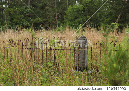Abandoned Cemetery Located in Rural East TX Barron Cemetery, Tyler TX Abandoned Cemetery Located in Rural East TX Barron Cemetery, Tyler TX 130544990