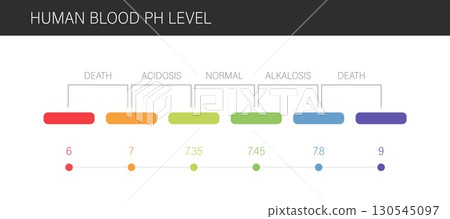Ph blood scale. Normal range of ph level in human blood. Ph analysis or medical test. Vector illustration in flat style 130545097