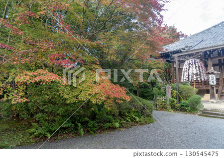 京都鷹峰常勝寺的秋葉 京都鷹峰常勝寺的秋葉 130545475