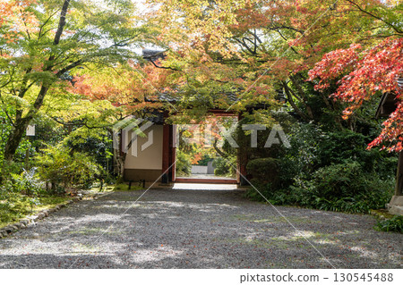 京都鷹峰常勝寺的吉野門與秋葉 京都鷹峰常勝寺的吉野門與秋葉 130545488