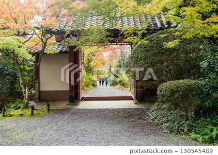 京都鷹峰常勝寺的吉野門與秋葉 京都鷹峰常勝寺的吉野門與秋葉 130545489