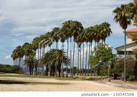 The tropical scenery of Okunoshima (towards Kyuka Mura) 130545509