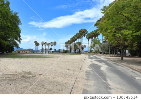 The tropical scenery of Okunoshima (towards Kyuka Mura) 130545514