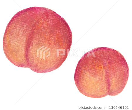 Plum illustration oil pastel drawing 130546191