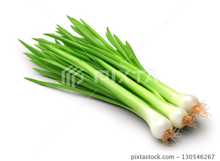 onion leaves on white. green onion feathers isolated on white background onion leaves on white. green onion feathers isolated on white background 130546267